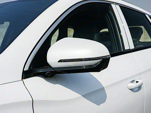 2025�� �ڶ��� �Ǽݰ� DM-i 115KM׿Խ��