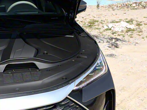 2025�� �Ǽݰ� DM-i 115KM �콢��