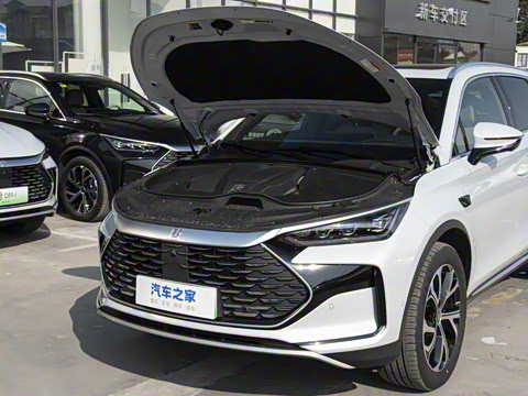 2025�� �Ǽݰ� DM-i 115KM �콢��