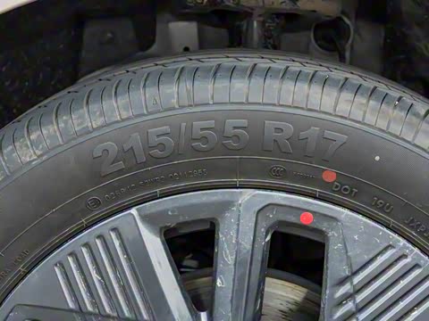 2025�� �캽��