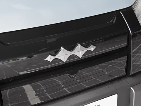 2025�� 501KM ����Max��