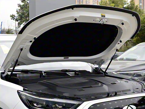 2025�� 1.5T 130km ������ 7��