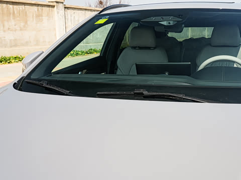 2025�� �Ǽݰ� DM-i 115KM ������