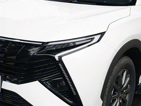 2025�� 1.5T ɽ�������� 7��