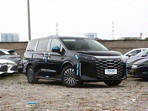 2025�� DM-i 1.5T 100km ������