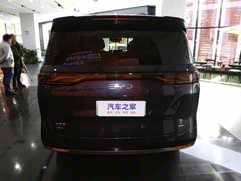 2025�� DM-i 1.5T 180km ��Խ��