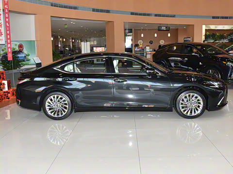 2025�� 300h ������