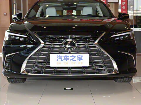 2025�� 300h ������