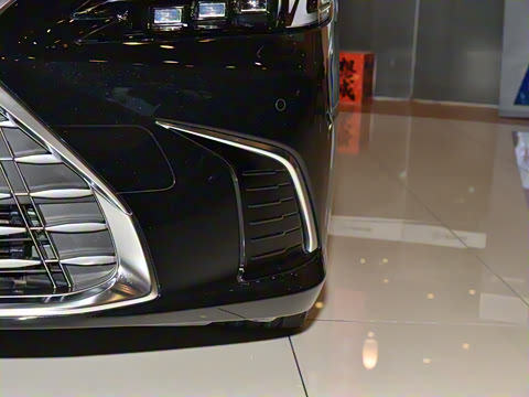 2025�� 300h ������