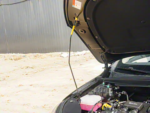 2025�� DM-i �Ǽݰ� 55KM�����