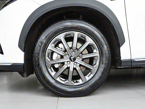 2025�� 1.5T ��ԭ�� 7��