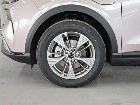 2025�� 445km ���ð�