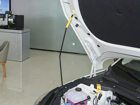 2025�� DM-i 80KM�����