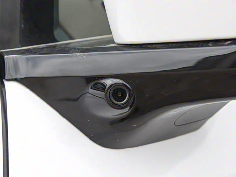 2025�� DM-i 1.5T 100km �캽��