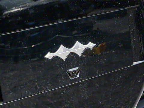 2025�� �����Ǽ�Max��