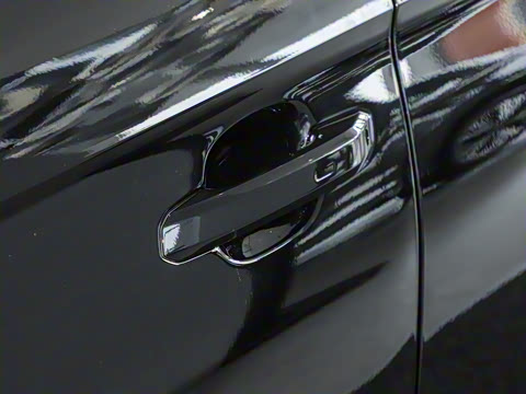 2024�� RS 5 2.9T Sportback ȼ���