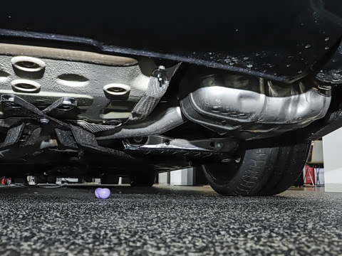 2024�� RS 5 2.9T Sportback ȼ���