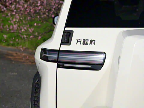 2025�� 501KM �������˻���