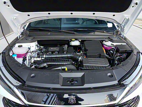 2025�� DM-i �Ǽݰ� 120KM������