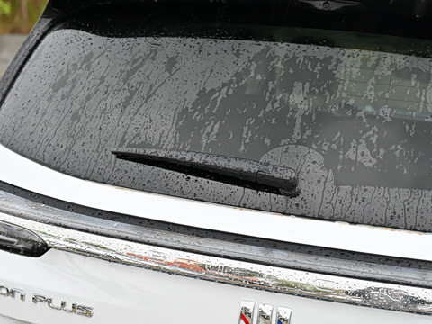 2025�� ������Plus ����Avenir��ά��