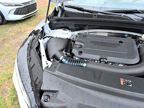 2025�� ������Plus ����Avenir��ά��