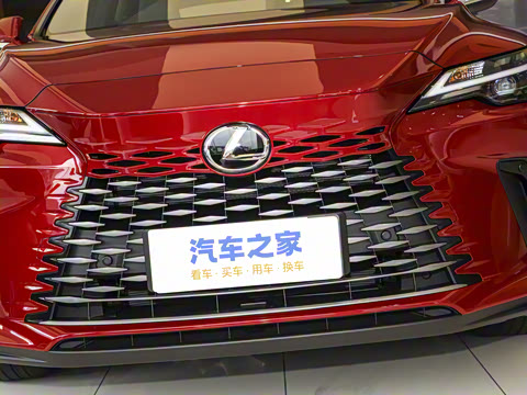 2025�� 300 ����������