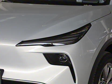 2025�� 445km ���ð�