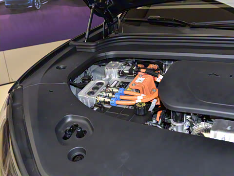 2024�� ���� Max�� 52kWh 5����