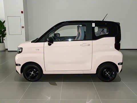 2025�� 205km ʥ����