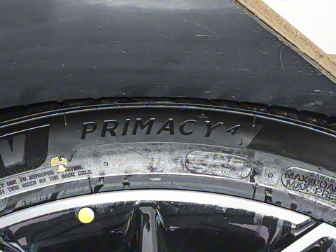 2025�� �������̰� 230�콢��