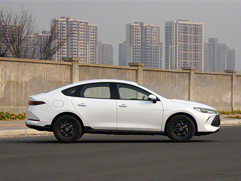 2025�� DM-i �Ǽݰ� 55KM������