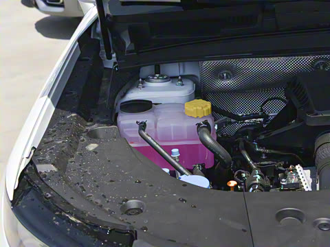 2024�� ������