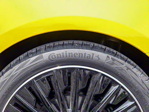 2025�� CLE 300 4MATIC �����ͽ��ܳ�