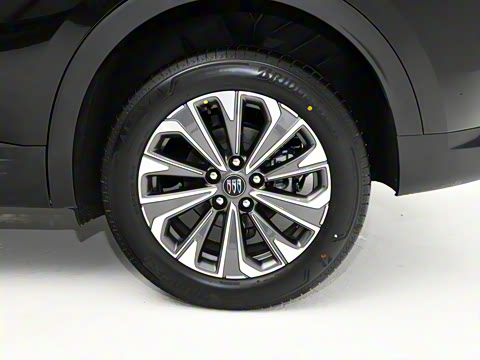 2025�� 25T �����׽��