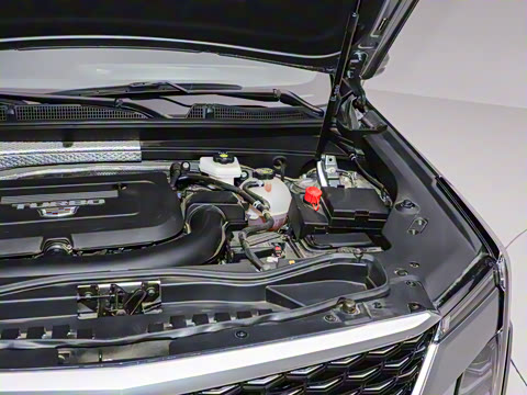 2024�� �Ŀ� 28T ���������