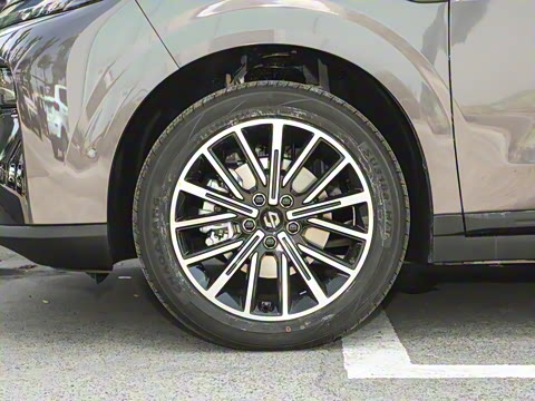 2025�� 510������