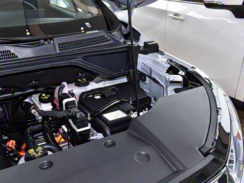 2025�� �콢��