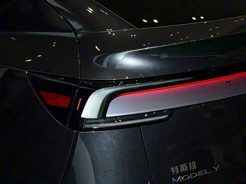 2025�� ����������