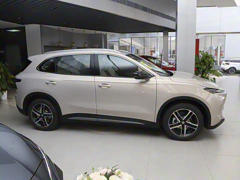 2025�� 425plus ������