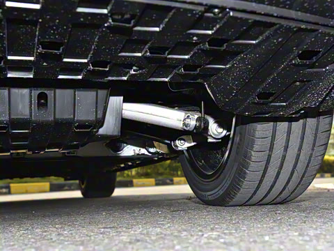 2025�� �����˶���