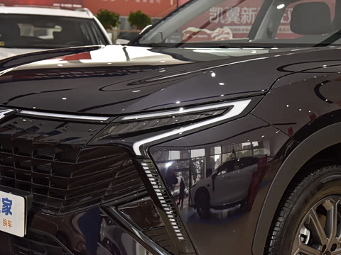 2025�� 1.5T ɽ��� 5��