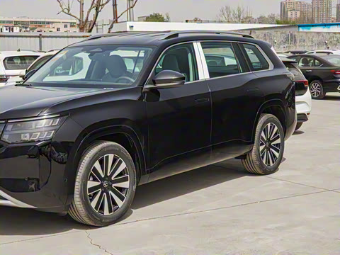 2025�� ;�� Pro 450TSI ����̽����