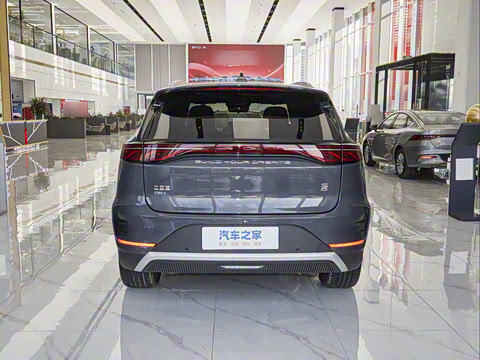 2025�� DM-i 115KM �콢��
