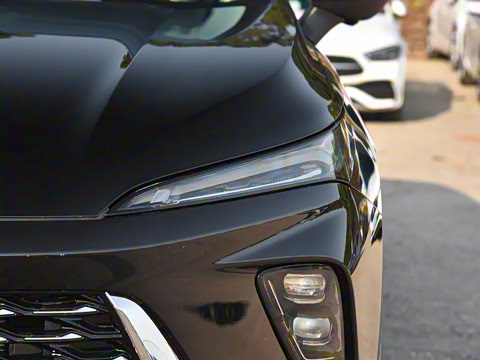 2025�� ������Plus ����Avenir��ά��