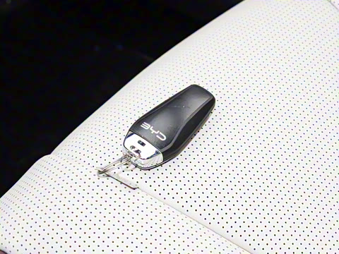 2025�� �Ǽݰ� DM-i 1.5L 125km ������