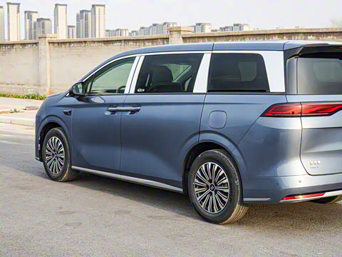 2025�� DM-i 1.5T 100km ��Խ��