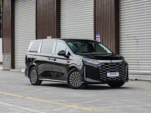 2025�� DM-i 1.5T 180km ��Խ��