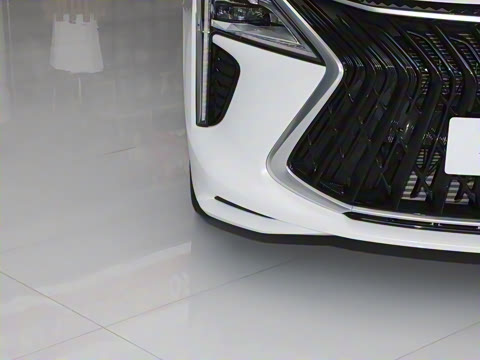 2022�� 1.5T DCT���˰�