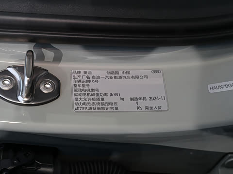 2025�� e-tron �����