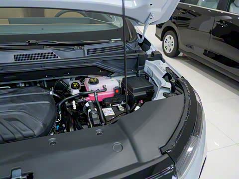 2025�� MAX 1.5T �Զ�������